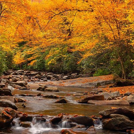 Peace, Serenity & Relaxation In The Smokies! Gatlinburg Exterior photo