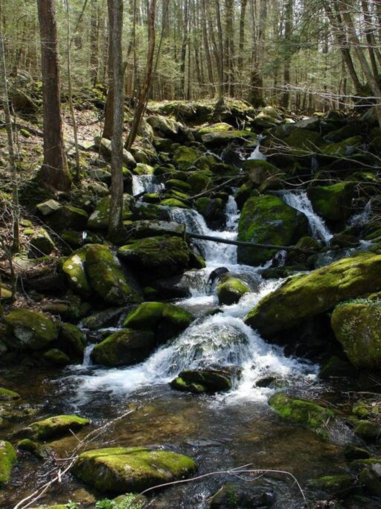Peace, Serenity & Relaxation In The Smokies! Gatlinburg Exterior photo