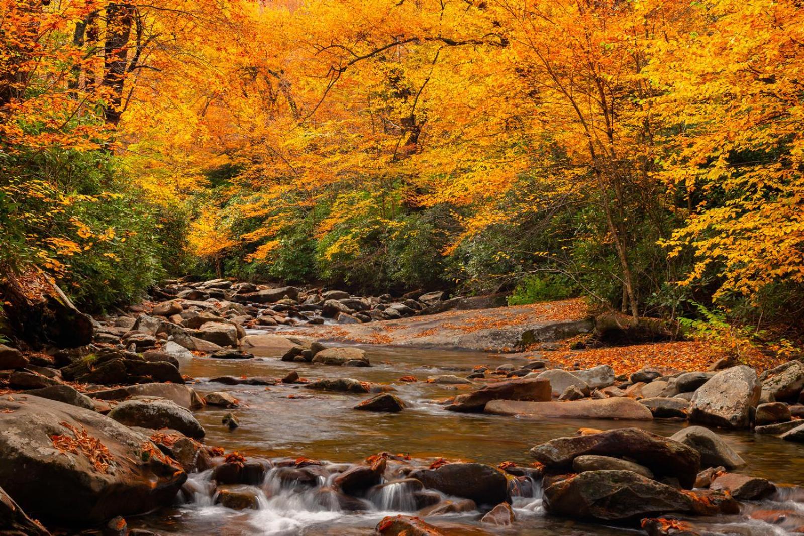 Peace, Serenity & Relaxation In The Smokies! Gatlinburg Exterior photo